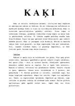 Konspekts 'Kaķi', 1.