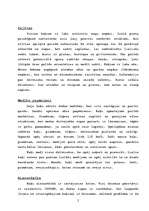 Konspekts 'Kaķi', 2.