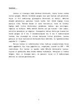 Konspekts 'Kaķi', 7.