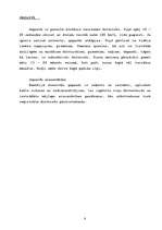 Konspekts 'Kaķi', 8.