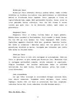 Konspekts 'Kaķi', 11.