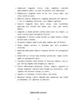 Konspekts 'Kaķi', 12.