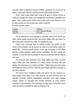 Referāts 'Jumti', 17.