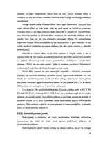 Referāts 'Jumti', 19.