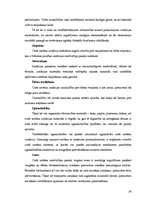 Referāts 'Jumti', 24.