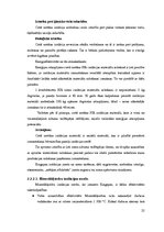 Referāts 'Jumti', 25.