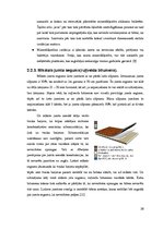 Referāts 'Jumti', 26.