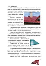 Referāts 'Jumti', 27.