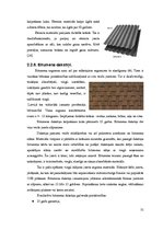 Referāts 'Jumti', 31.