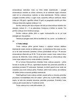 Referāts 'Jumti', 39.