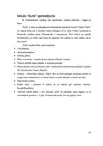 Referāts 'Jumti', 43.