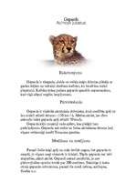 Referāts 'Plankumainie dzīvnieki', 5.