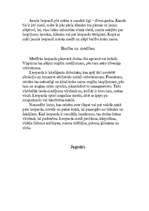 Referāts 'Plankumainie dzīvnieki', 9.