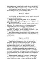 Referāts 'Plankumainie dzīvnieki', 11.