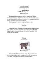 Referāts 'Plankumainie dzīvnieki', 14.