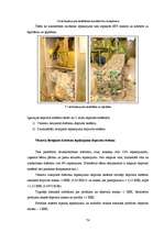 Diplomdarbs 'Izlietotā iepakojuma depozīta sistēmas Latvijas modeļa izstrāde', 74.