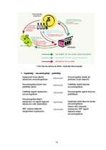 Diplomdarbs 'Izlietotā iepakojuma depozīta sistēmas Latvijas modeļa izstrāde', 78.