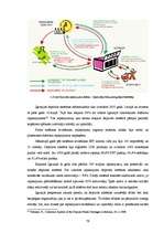 Diplomdarbs 'Izlietotā iepakojuma depozīta sistēmas Latvijas modeļa izstrāde', 79.
