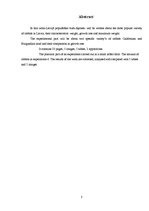 Referāts 'Truškopība', 3.