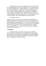 Paraugs 'Inženiermateriāli - termiskās apstrādes pamati', 3.