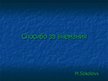 Prezentācija 'Зимние виды спорта', 13.