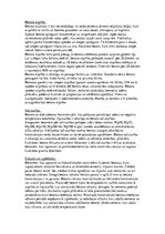 Referāts 'Betons, dzelzbetons', 4.