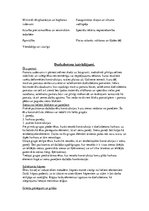 Referāts 'Betons, dzelzbetons', 6.