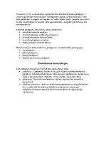 Referāts 'Betons, dzelzbetons', 7.