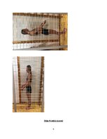 Konspekts 'Somatoskopija', 4.