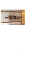 Konspekts 'Somatoskopija', 6.