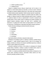 Referāts 'Uzskaites un pārskatu starptautiskās reglamentācijas problēmas un starptautiskie', 9.