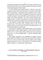 Referāts 'Uzskaites un pārskatu starptautiskās reglamentācijas problēmas un starptautiskie', 17.