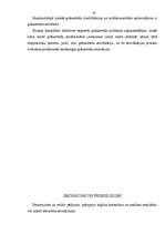 Referāts 'Uzskaites un pārskatu starptautiskās reglamentācijas problēmas un starptautiskie', 20.