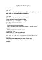 Konspekts 'Integrētā nodarbība', 1.