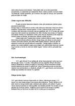 Konspekts 'Svarīgākās dabas katastrofas 21.gadsimtā', 3.