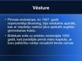 Prezentācija 'Endoskopi', 4.