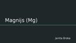 Prezentācija 'Magnijs', 1.