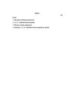 Eseja 'Uzņēmuma "x" kultūras pētījums', 1.