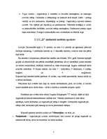 Eseja 'Uzņēmuma "x" kultūras pētījums', 3.