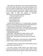 Eseja 'Uzņēmuma "x" kultūras pētījums', 8.