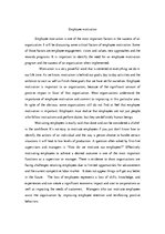 Eseja 'Employee Motivation', 1.