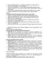 Konspekts 'Epoksīda grīdas', 2.