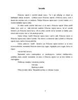 Referāts 'Alūksnes ezers un ezeri Alūksnes rajonā', 3.