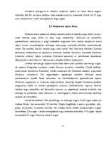 Referāts 'Alūksnes ezers un ezeri Alūksnes rajonā', 12.