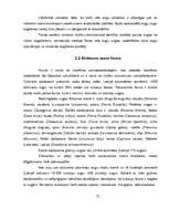 Referāts 'Alūksnes ezers un ezeri Alūksnes rajonā', 13.