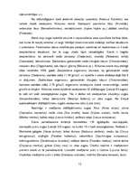 Referāts 'Alūksnes ezers un ezeri Alūksnes rajonā', 14.