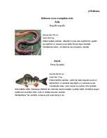 Referāts 'Alūksnes ezers un ezeri Alūksnes rajonā', 39.