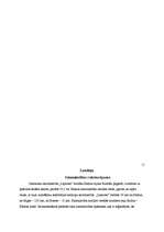 Referāts 'Z/s "Lejnieki" ražošanas plāns', 12.