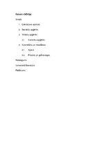 Referāts 'Apģērbs un mode Antīkajā Grieķijā', 2.