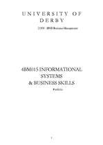 Referāts 'Information Systems & Business Skills Portfolio', 2.